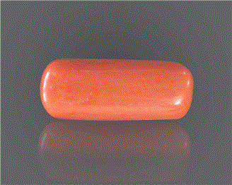 Natural Coral  9.15RTS-27406
